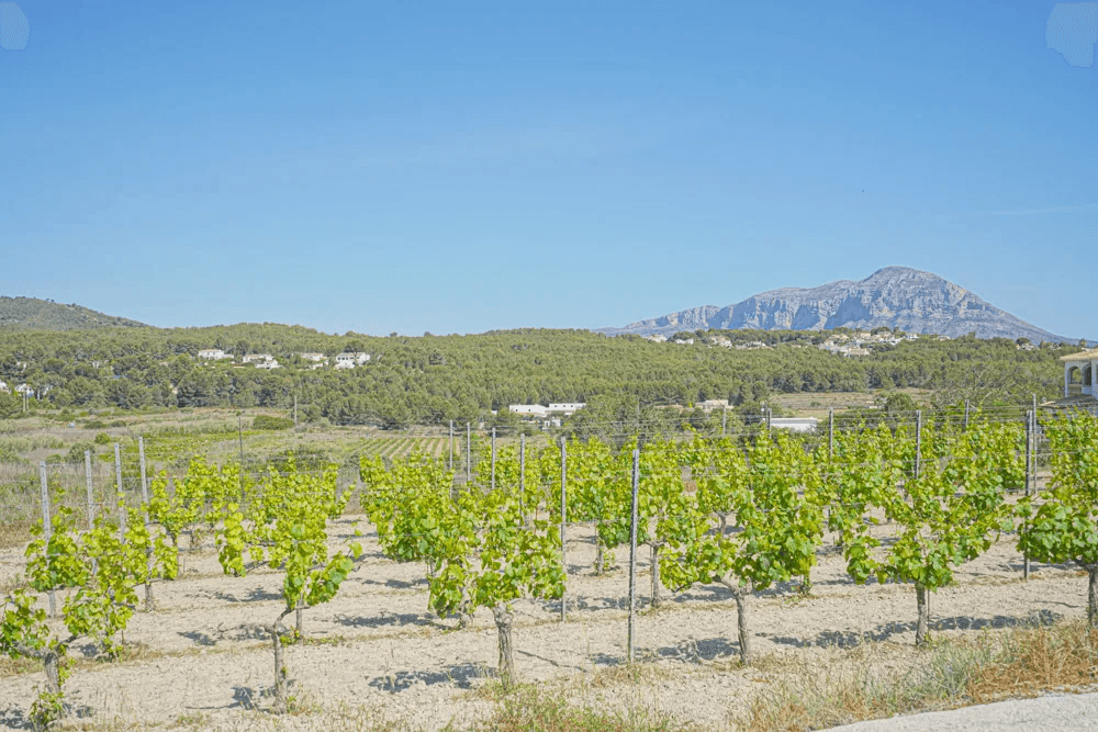 Chalet/Villa en venta en Benitachell
