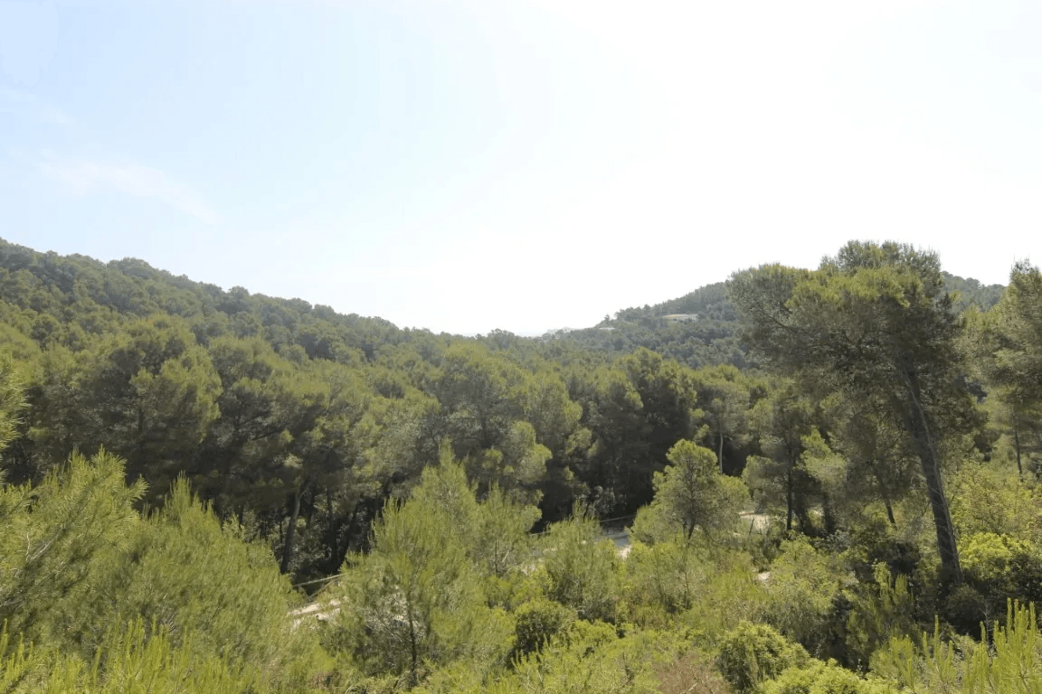 Land en venta en Javea