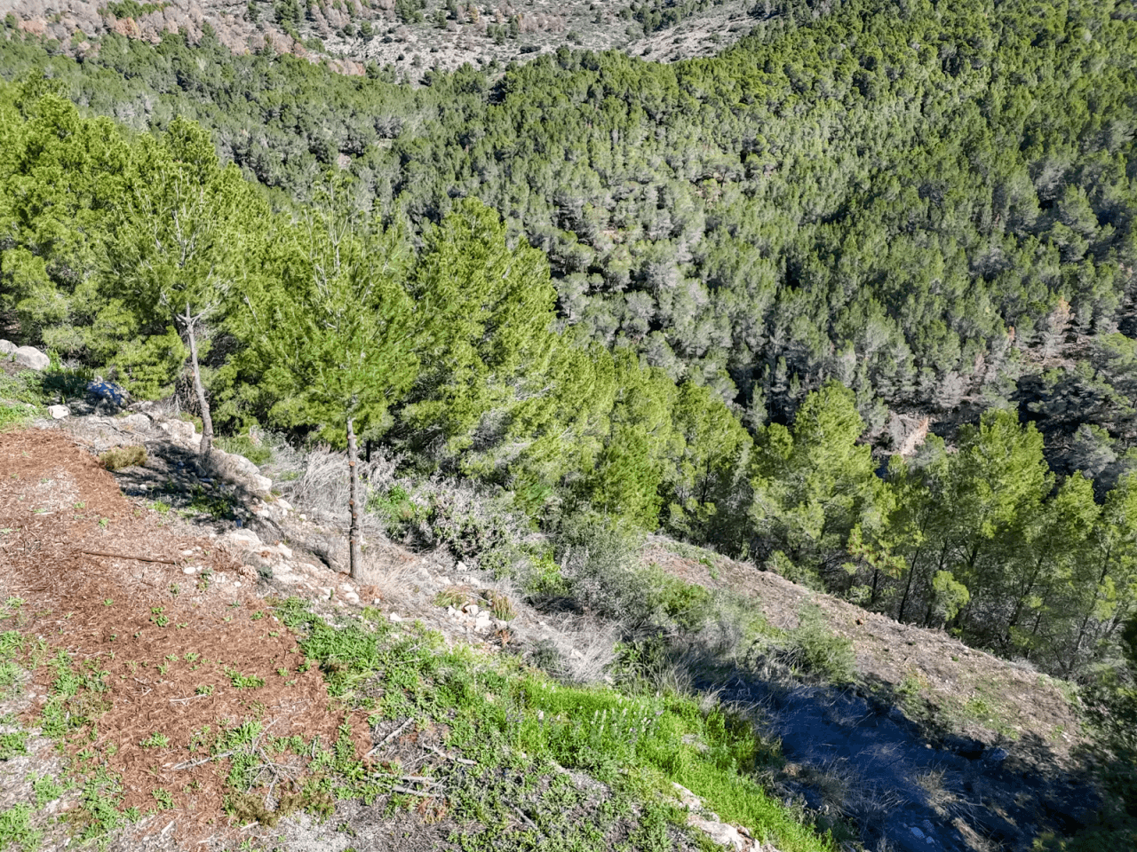 Land en venta en Altea