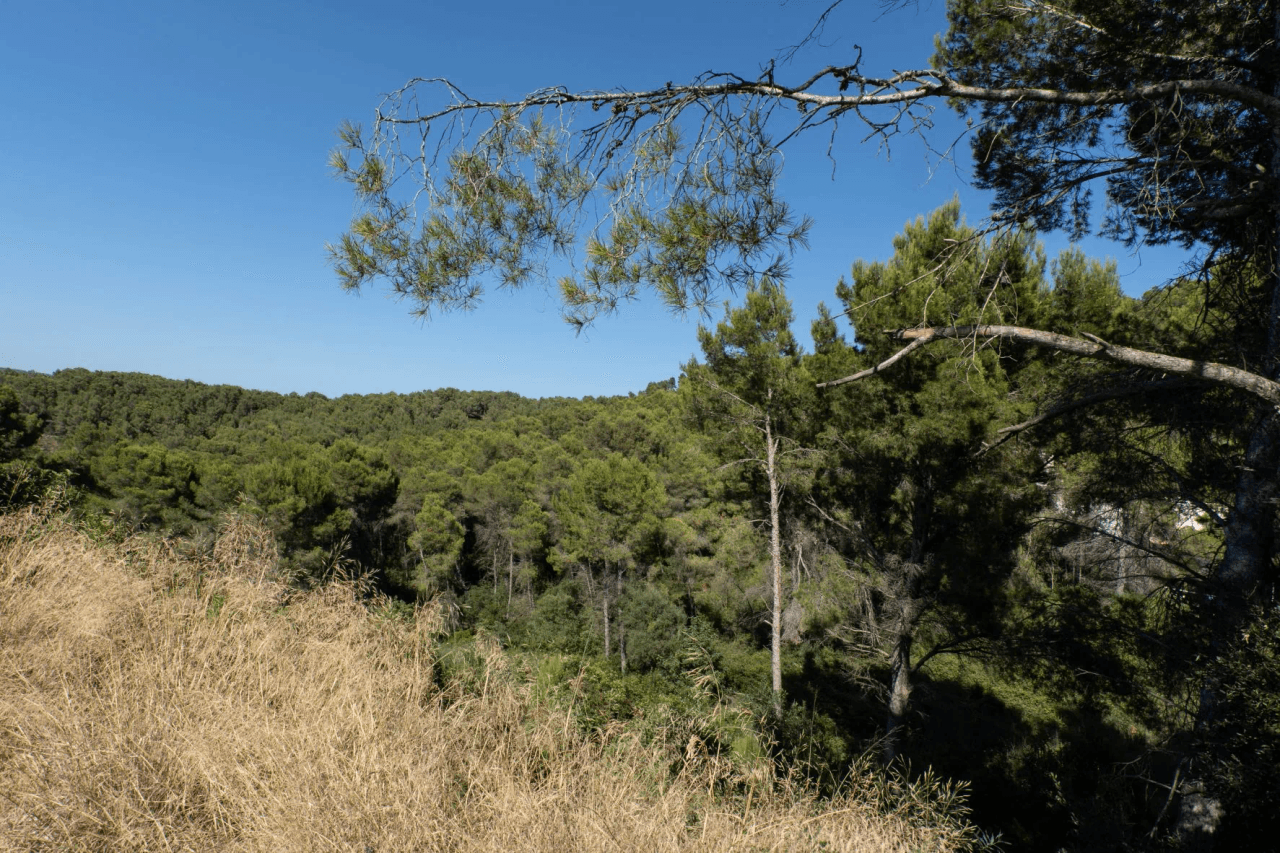 Land en venta en Javea