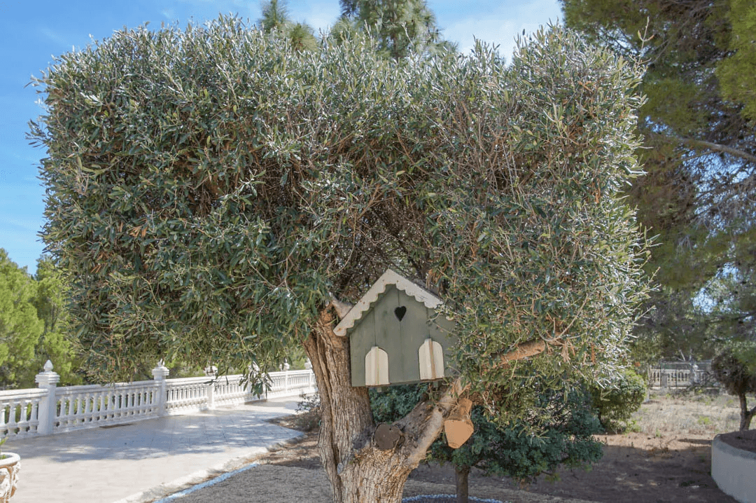 Villa til salg i La Nucia