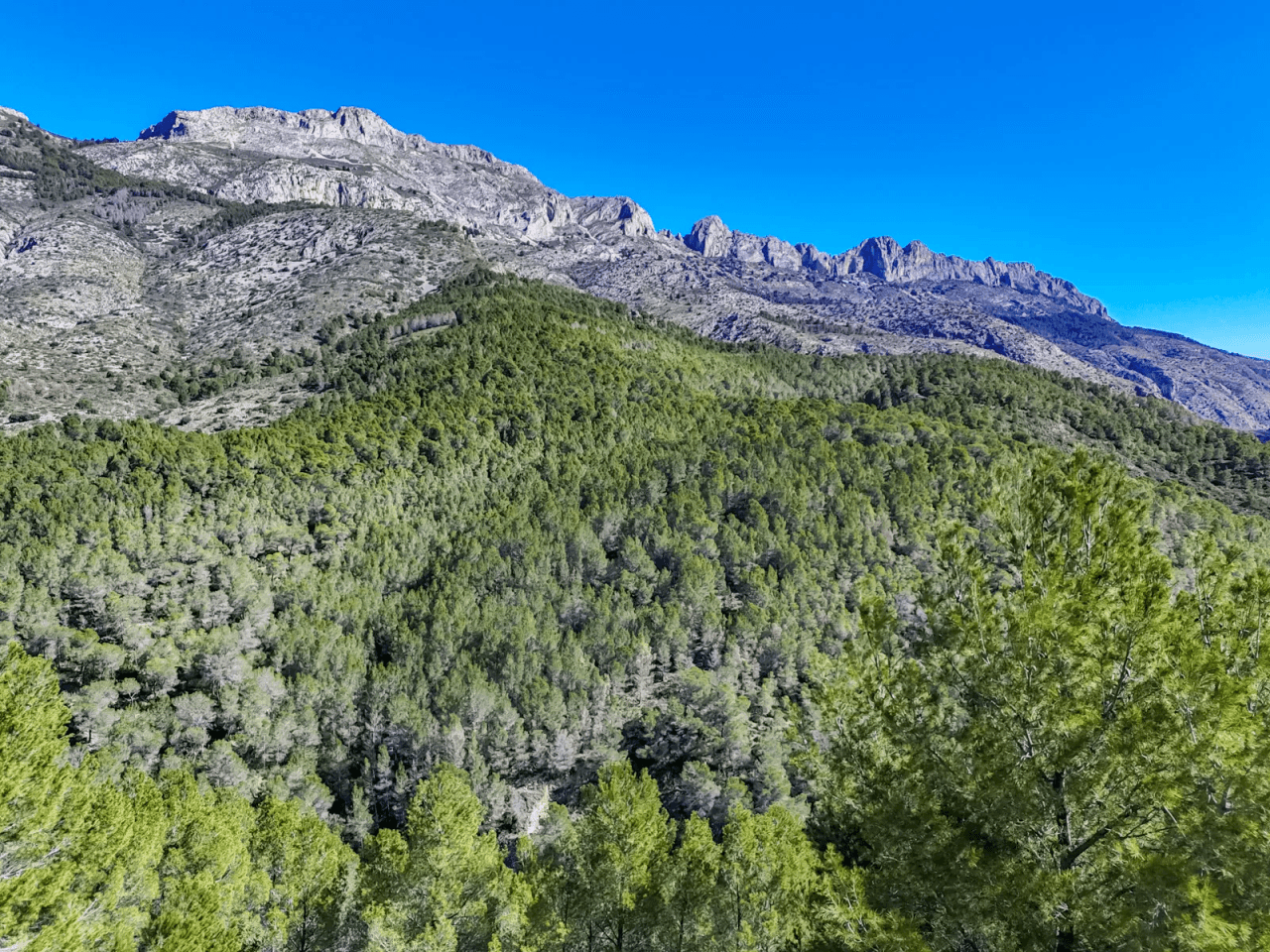 Land en venta en Altea