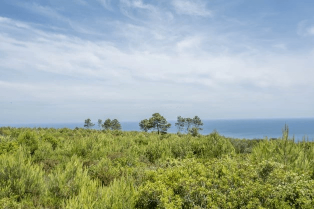 Land en venta en Javea