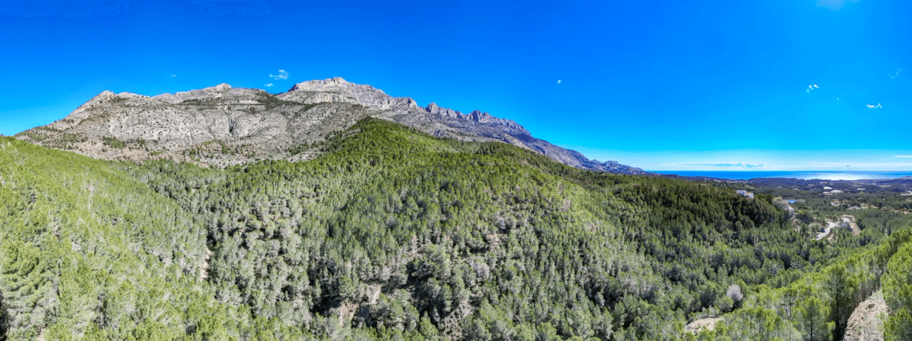 Land en venta en Altea