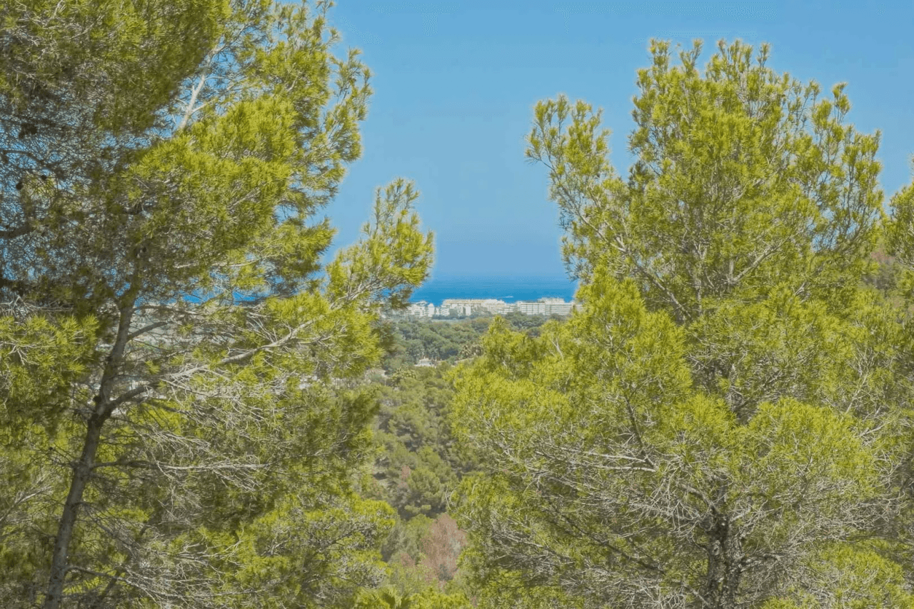 Land en venta en Javea