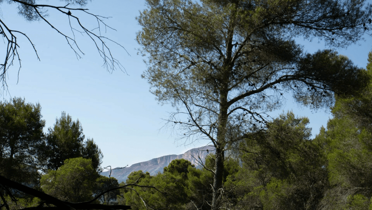 Land en venta en Javea