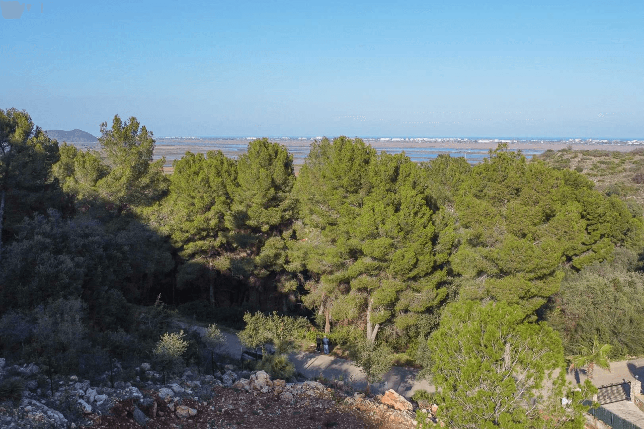 Land en venta en Pego