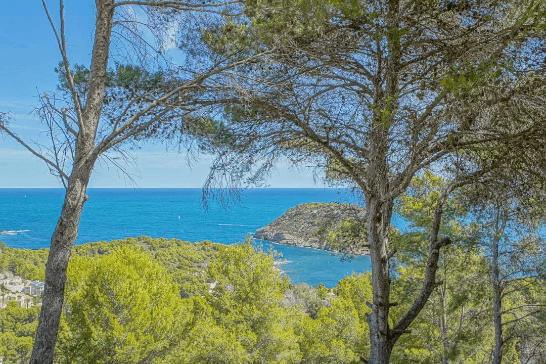 Chalet/Villa en venta en Javea