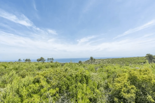 Land en venta en Javea