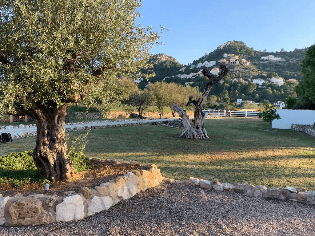 Villa zum verkauf in Pedreguer