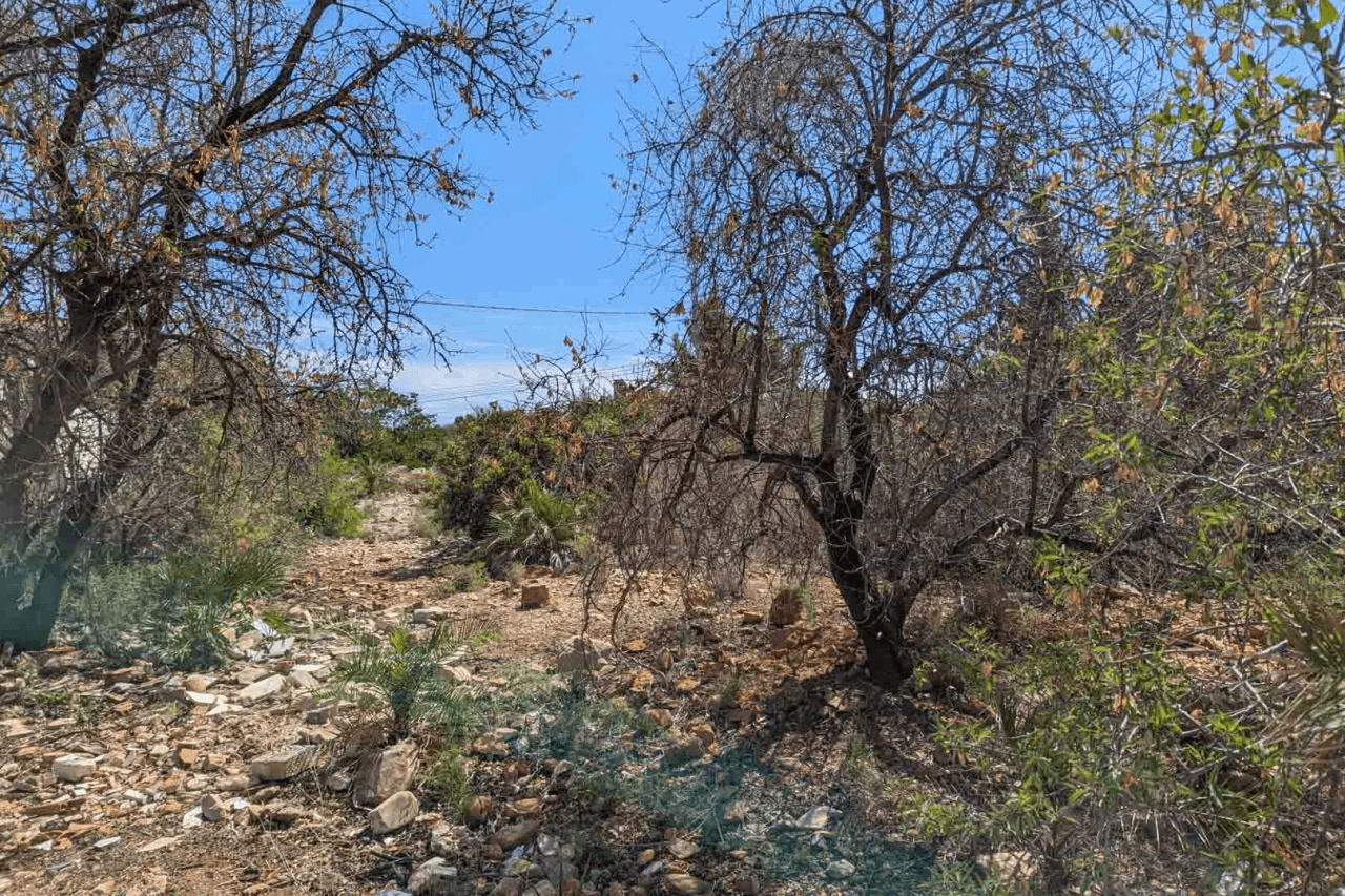 Land en venta en Denia