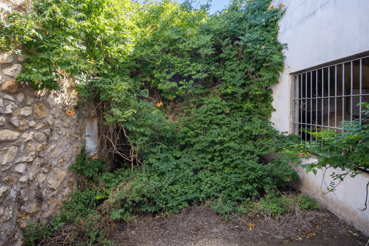 Chalet/Villa en venta en Denia