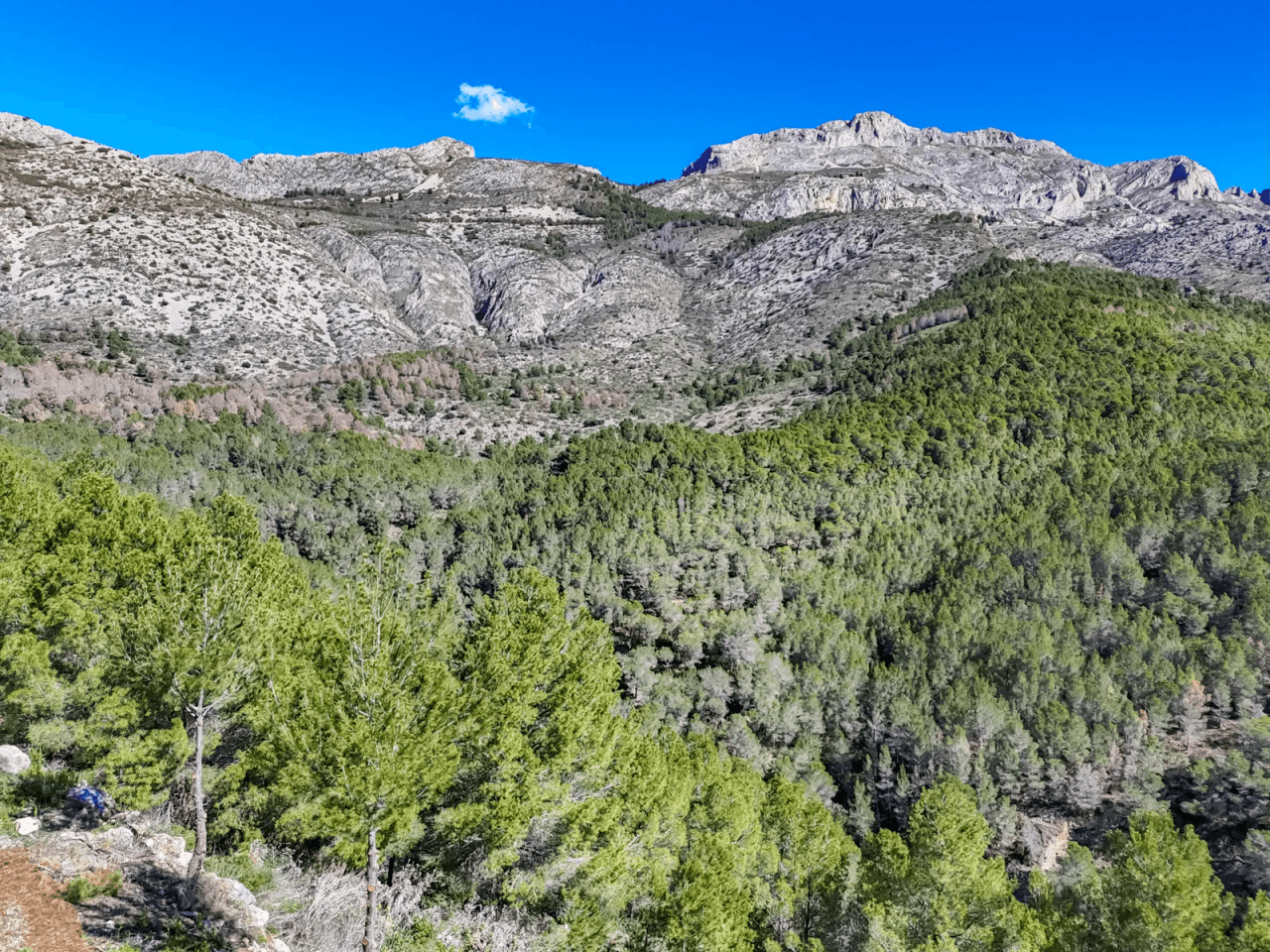 Land en venta en Altea