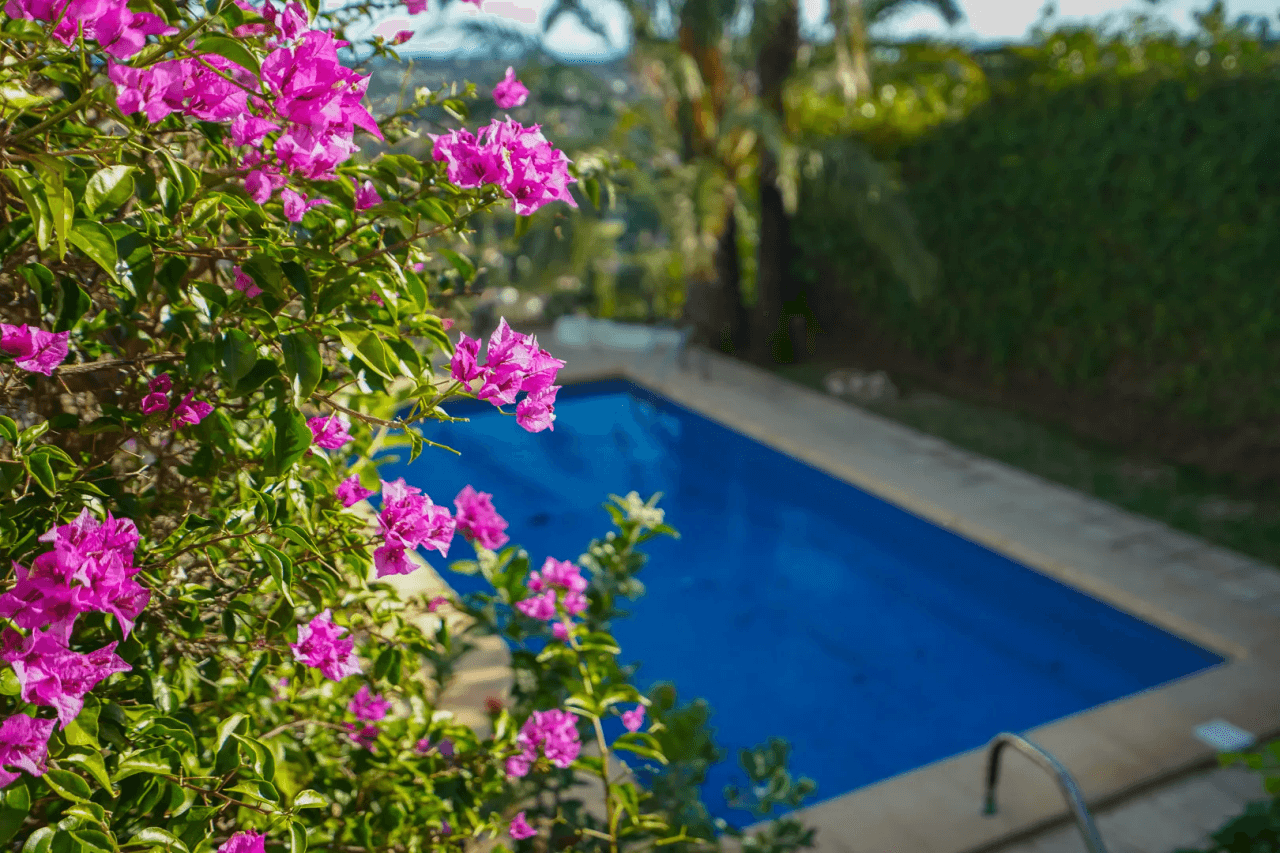 Chalet/Villa en venta en Javea