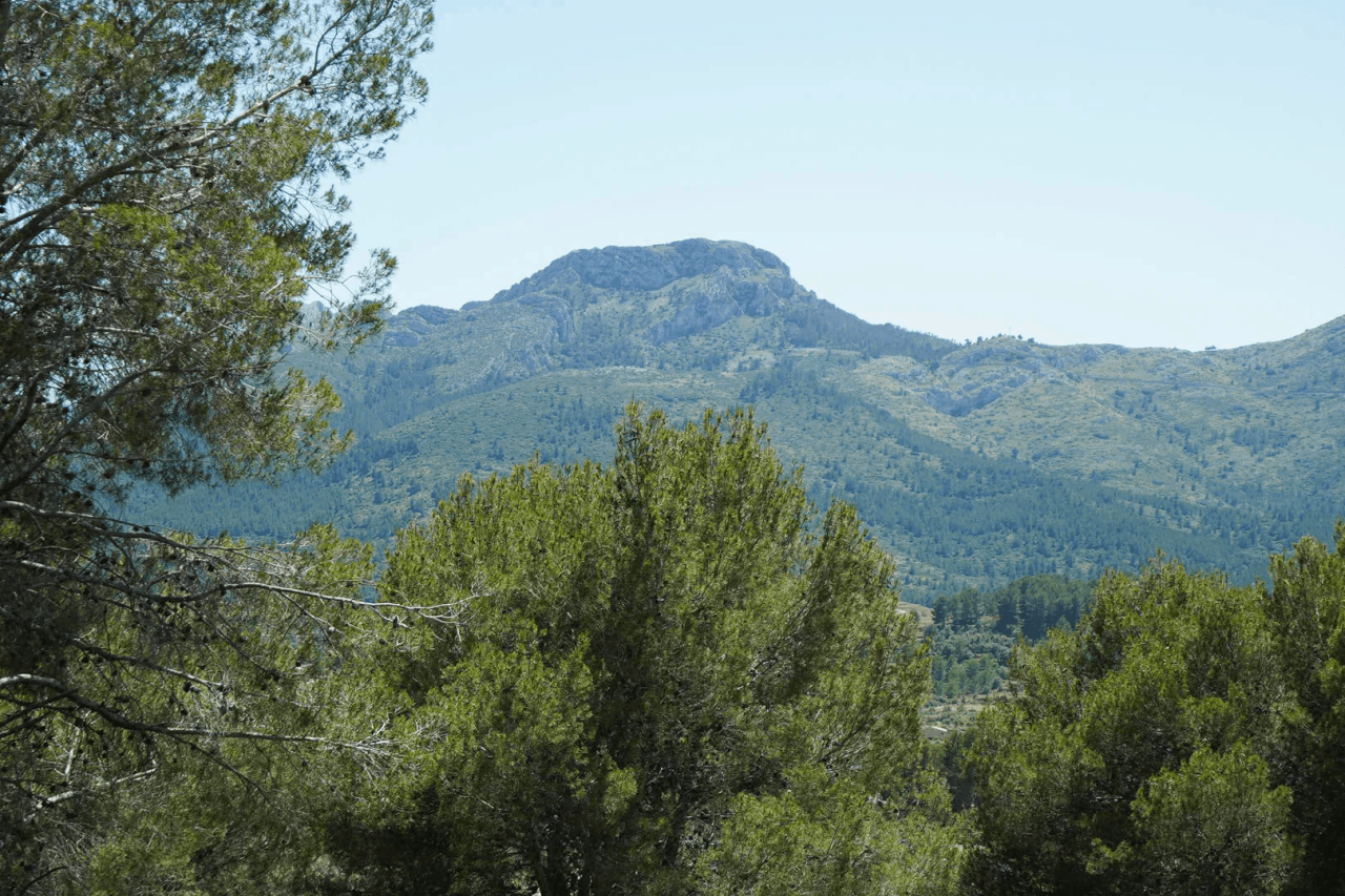 Villa til salg i Alcalali