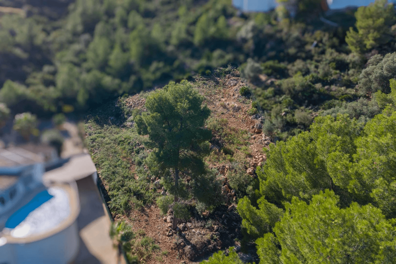 Land en venta en Pego