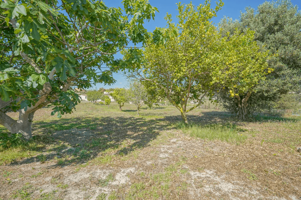 Chalet/Villa en venta en Benitachell