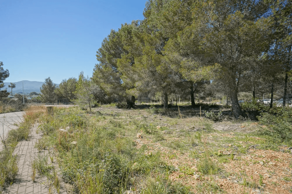 Land en venta en Javea