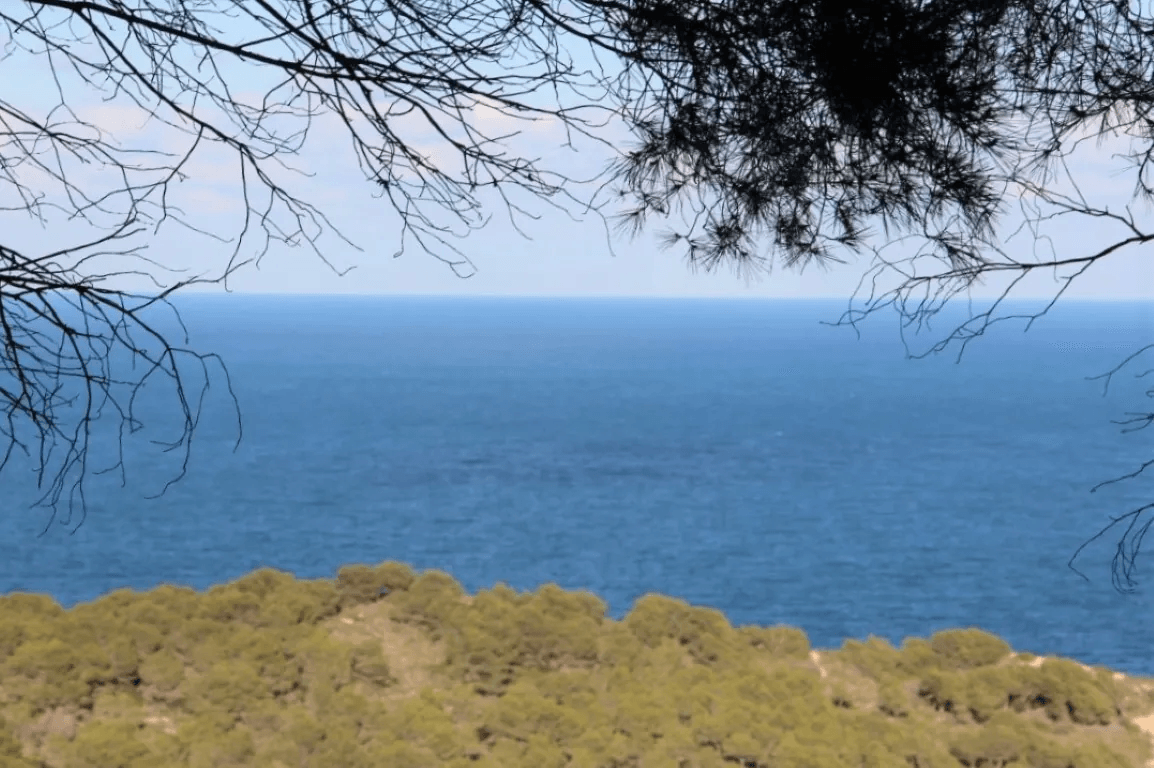 Chalet/Villa en venta en Javea