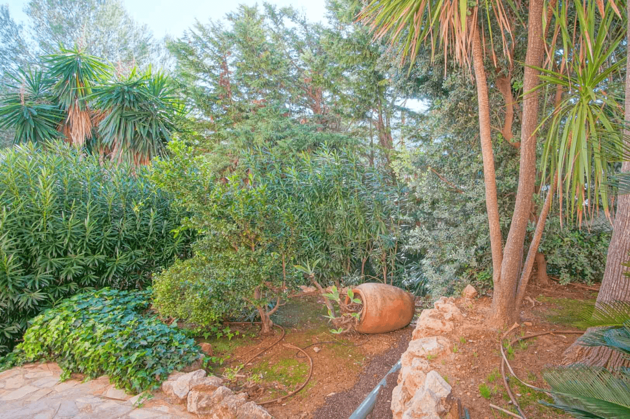 Chalet/Villa en venta en Pego