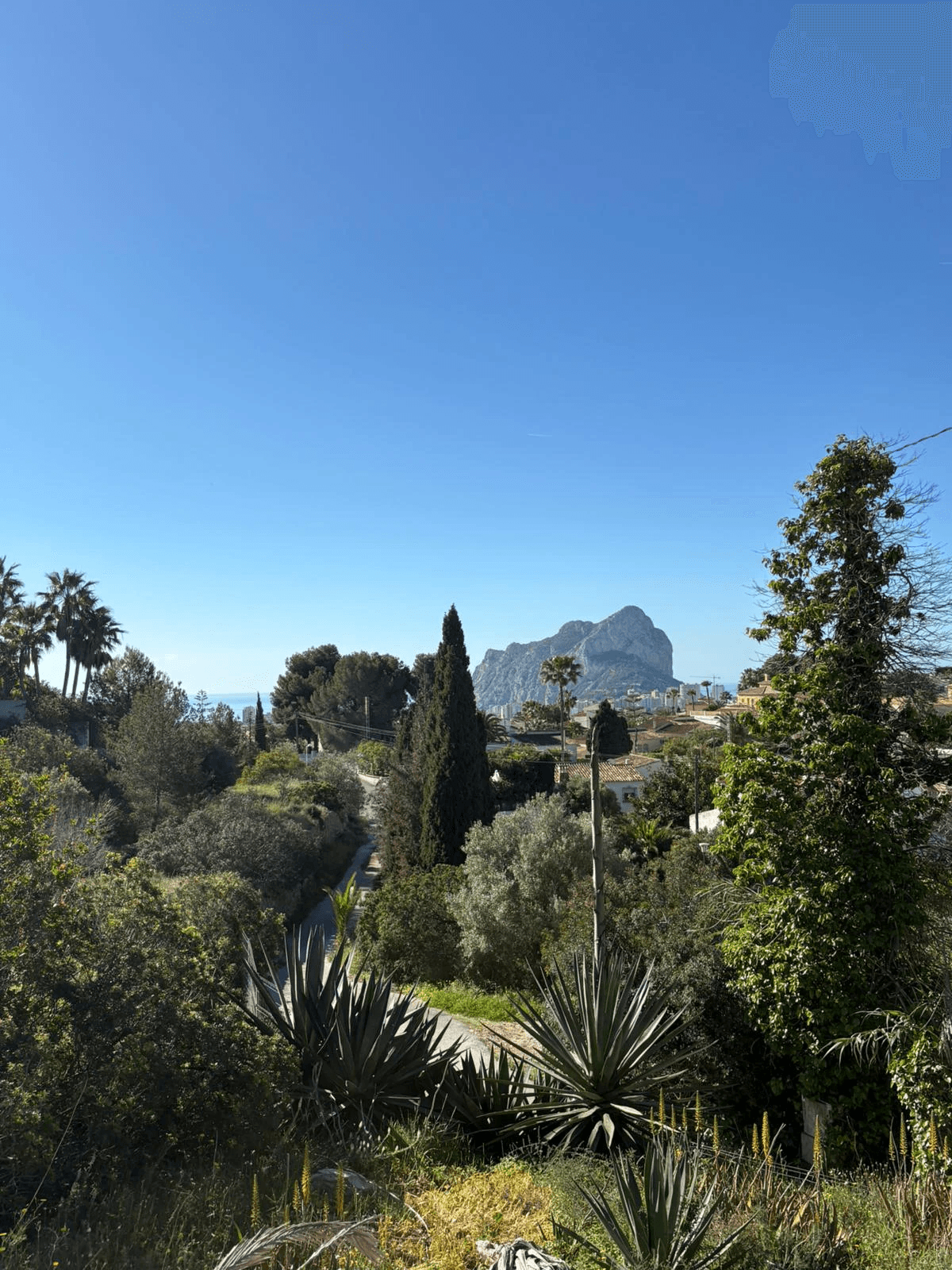 Parcela con vistas al mar en Calpe