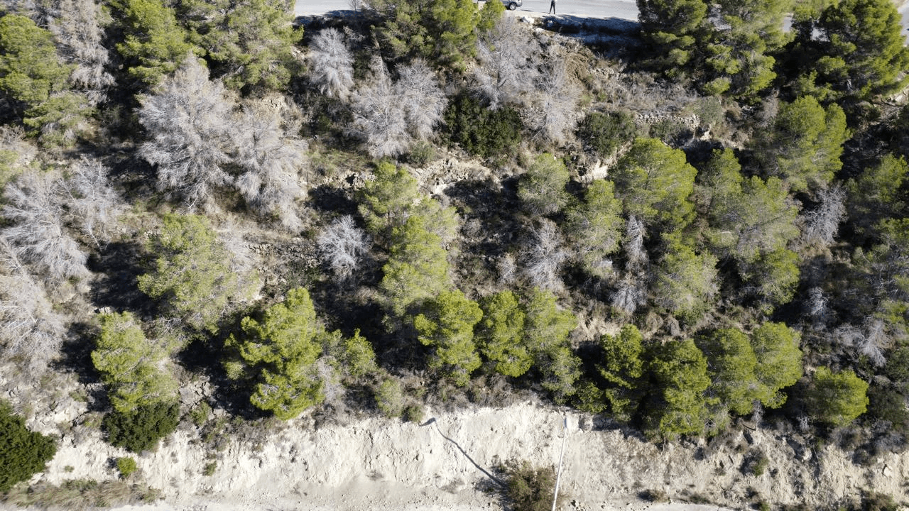 Parcela con orientación sur en Calpe