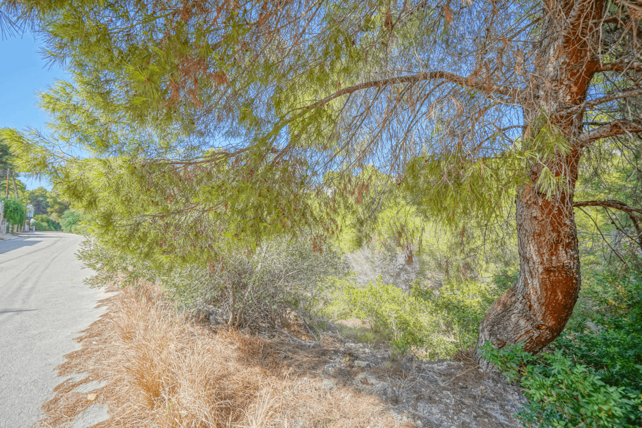 Parcela en venta en Benissa