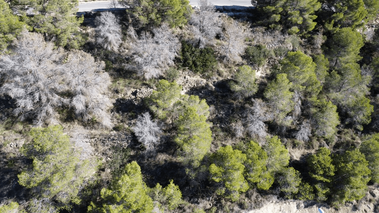 Parcela con orientación sur en Calpe